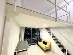38 Jervois (D10), Apartment #540518531